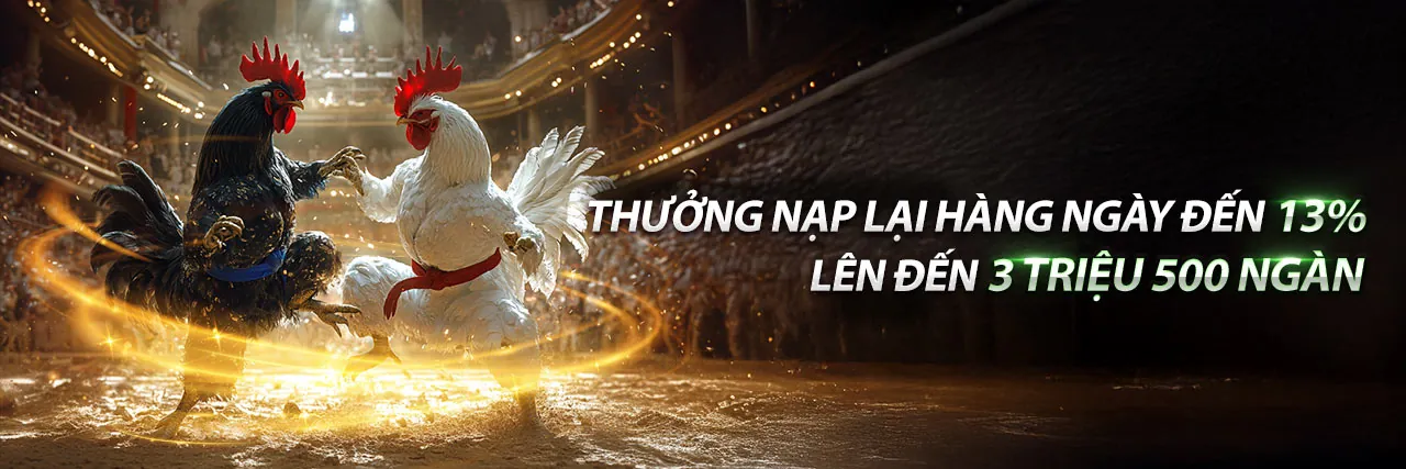 Đá gà trực tuyến visabet trang chủ chính thức 2026